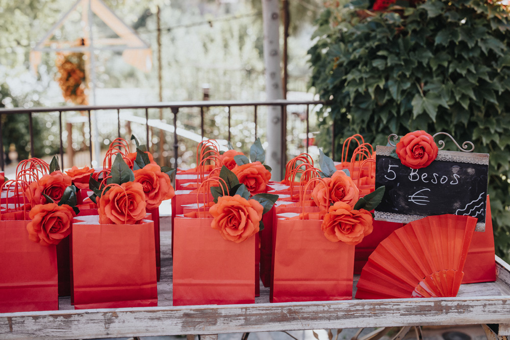 Cigarral de las Mercedes Toledo Spain Wedding- Ptaufiq Photography 4